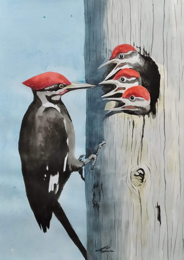 Paint ?