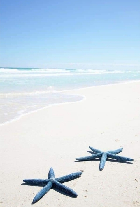 landscape, beach wallpapers