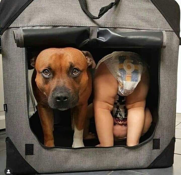 *