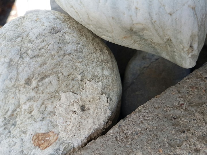 Stone Family