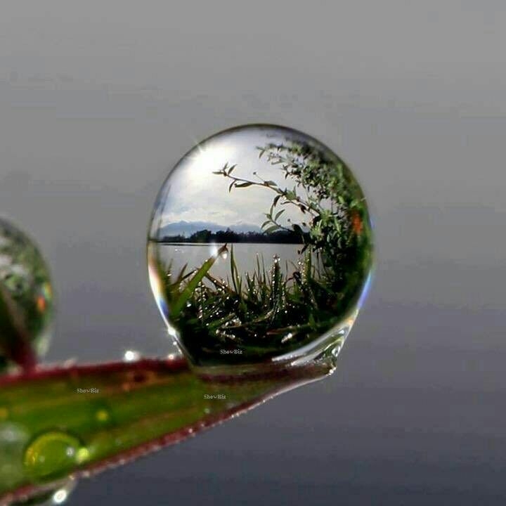 Natureza