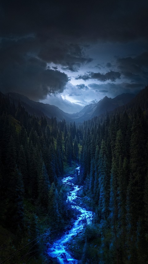 tapety river, forest