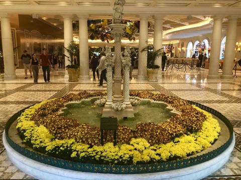 Cesar Palace
