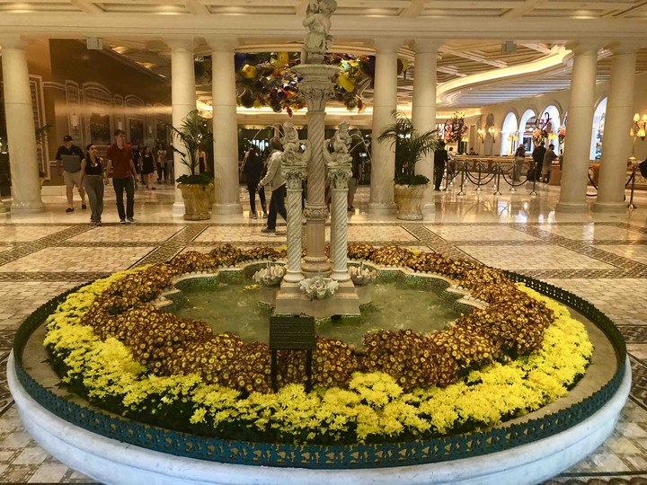 Cesar Palace