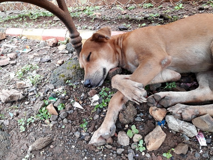 sleeping is always peaceful