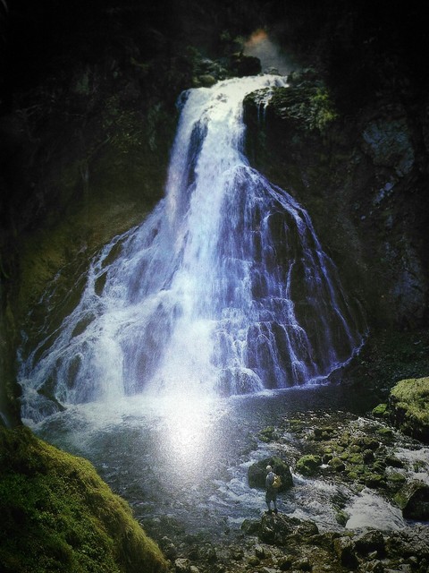 naturaleza