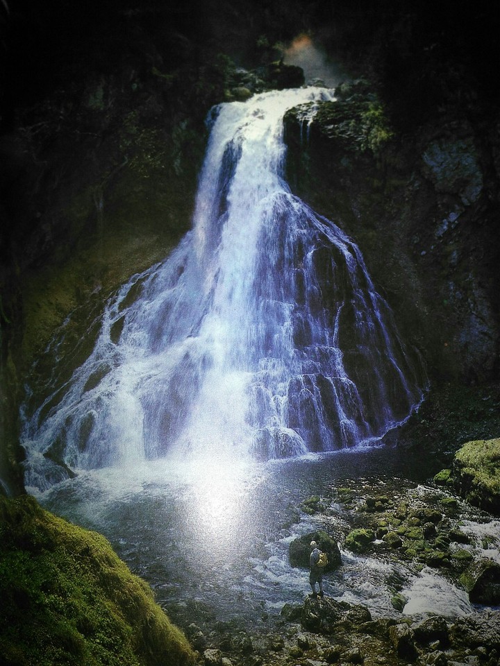 naturaleza