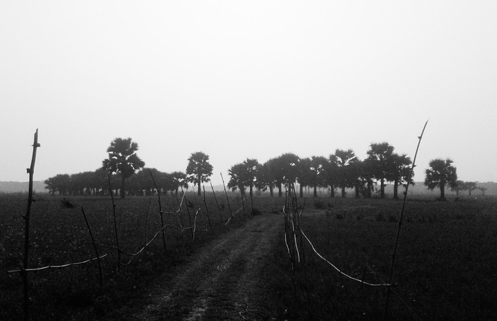 Winter's Evening