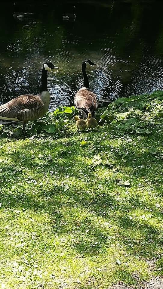 journée au parc
