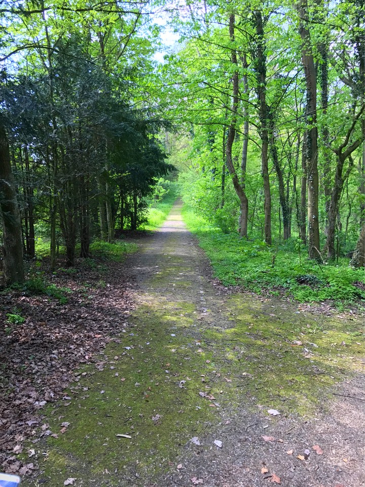 Waigolshausen ♥️