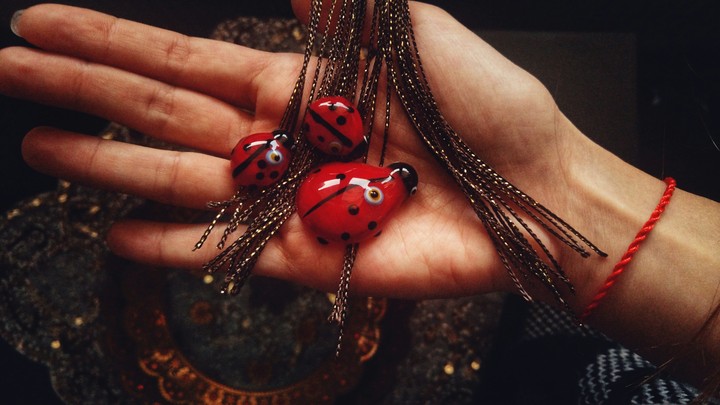 Artificial Ladybug