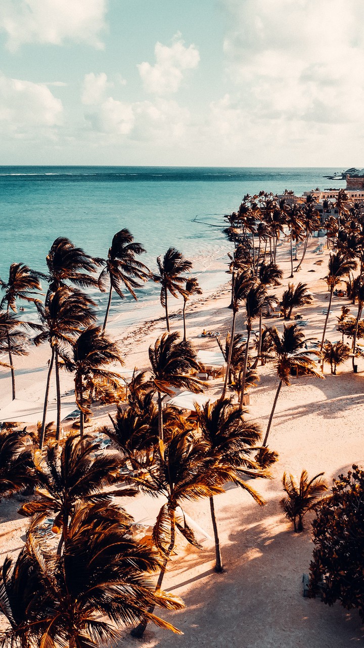 Palm Beach