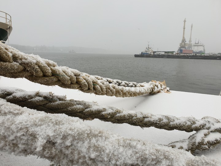 Port in winter