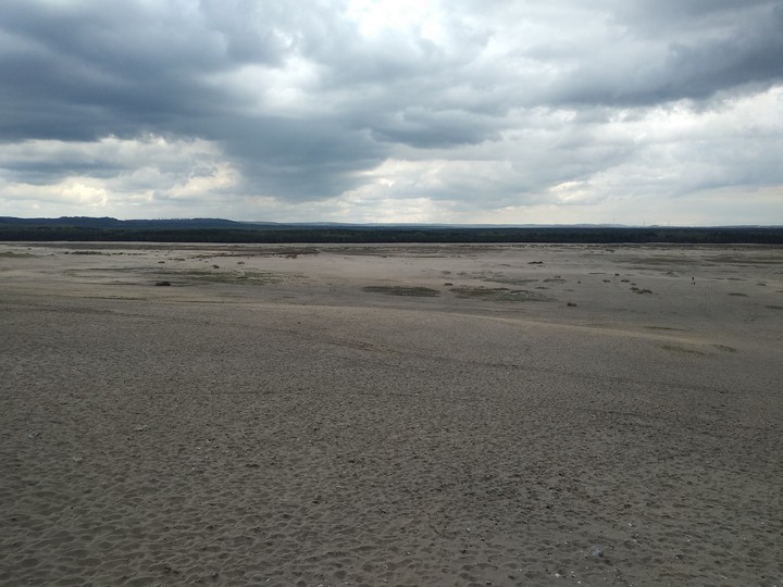 desert