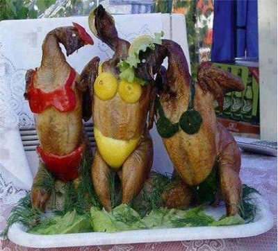 fucking chicken 