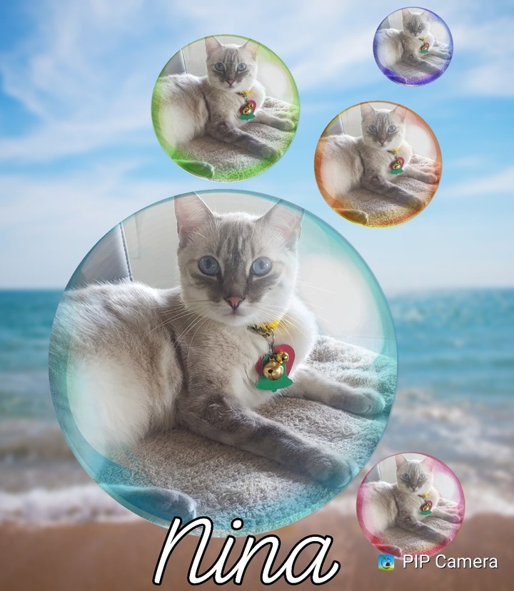 Nina