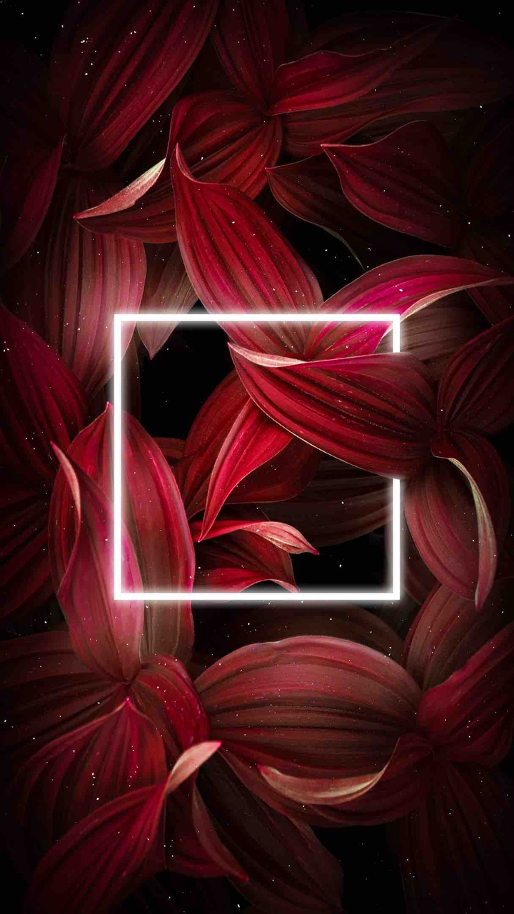 неон