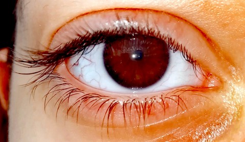 eye