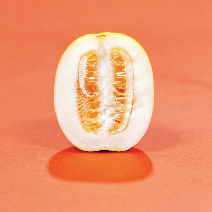 음식이미지