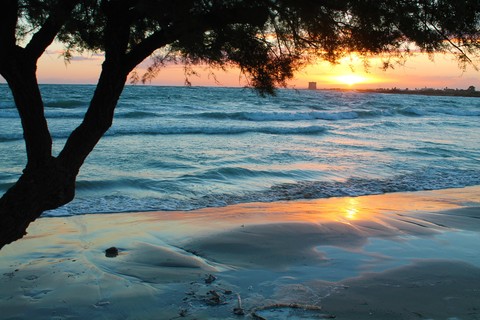 beach