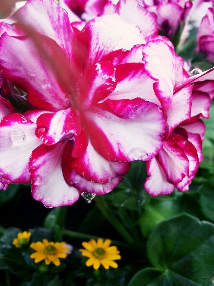 water droplets
