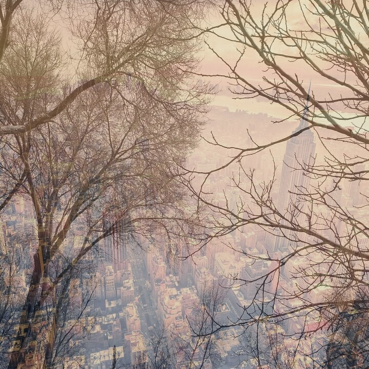 Winter and City