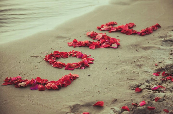 Aroma of Love.
