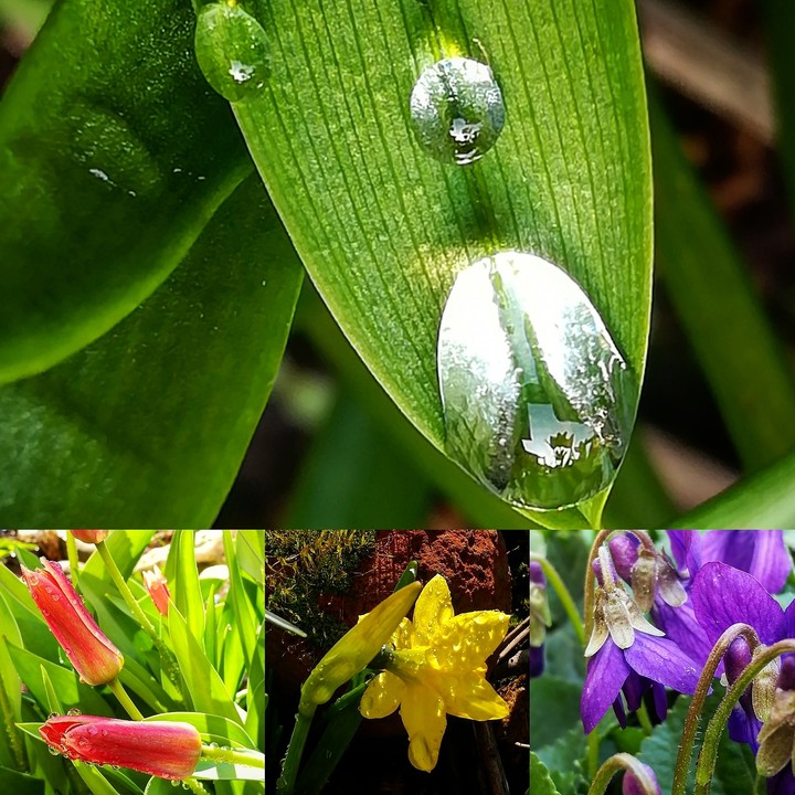 Spring
