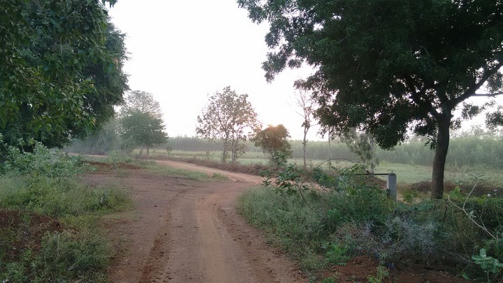Path