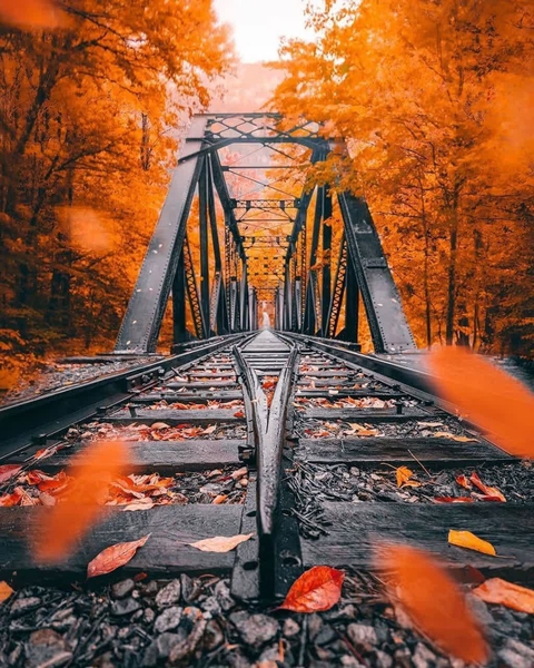反射, Bridge壁纸