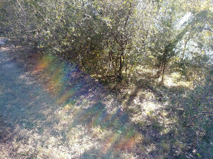 rainbow on a pathway