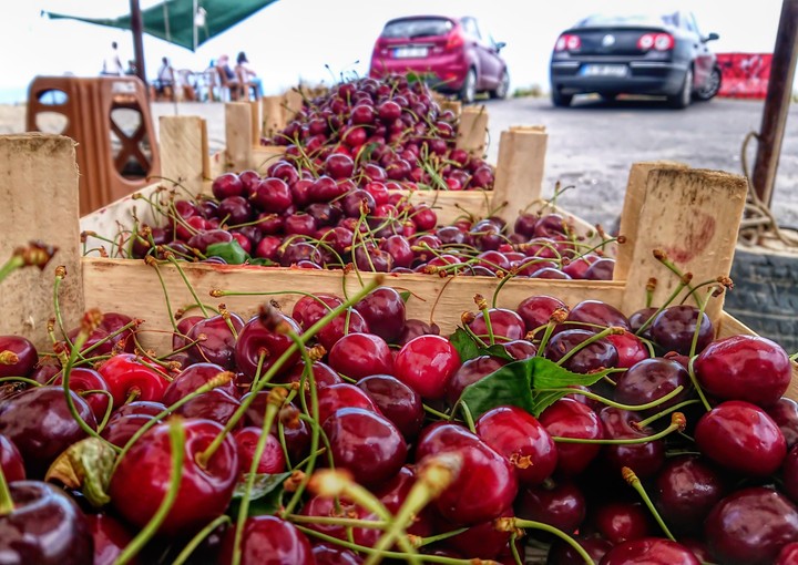 cherry cherry