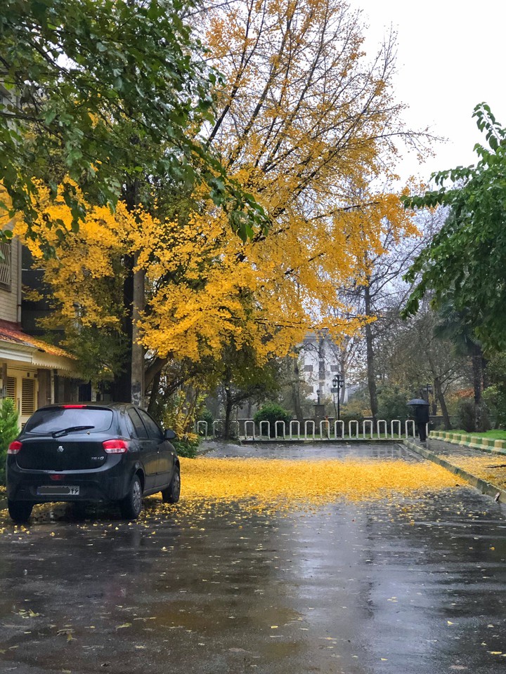 rainy day