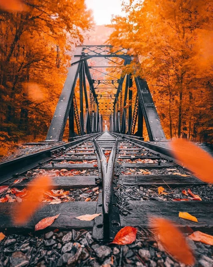 ❤ ☺