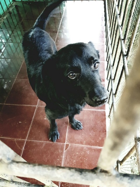 that look....
