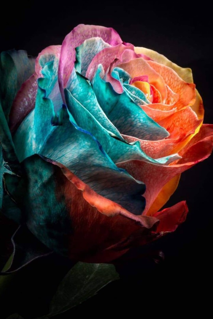 ❤