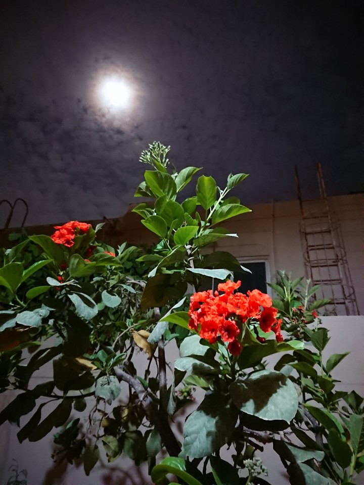 Jubail Industrial City under the moon