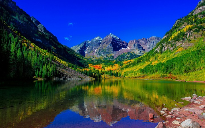 Mountain Filled With Colorful Trees