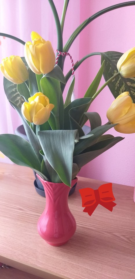 fleurs