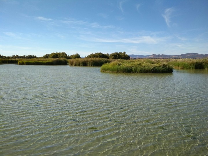 Tablas de Daimiel