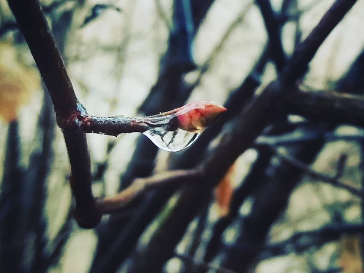 rainy day