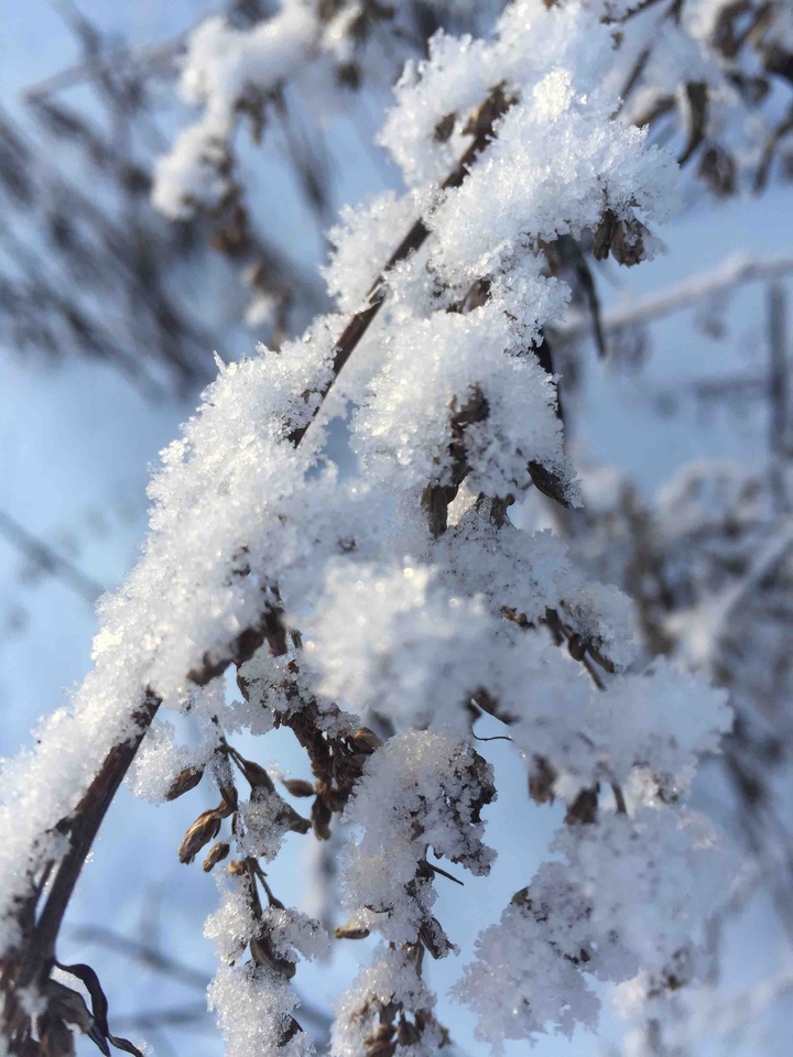 winter