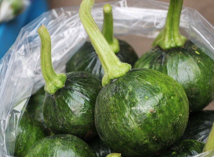vegetable