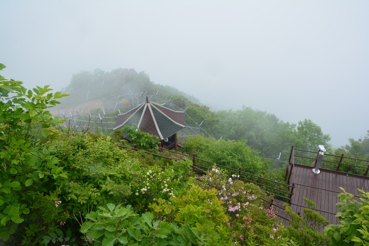 용문산이미지