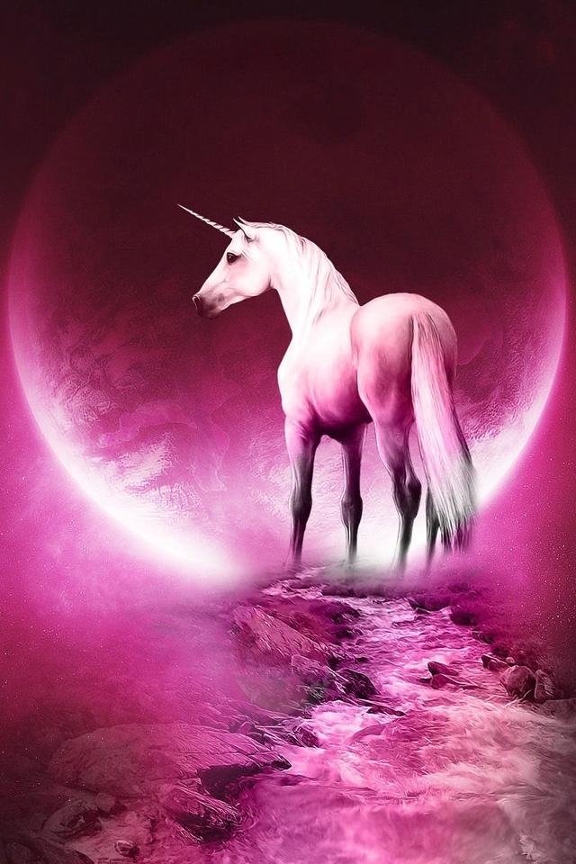 unicorn