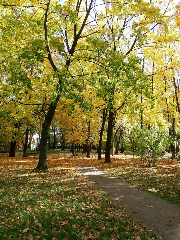 Autumn is in full swing