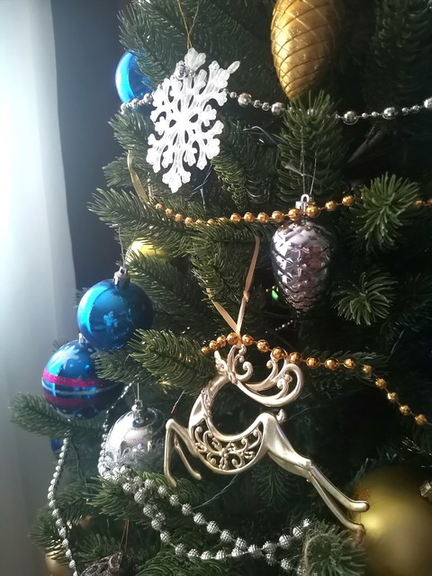 Mary christmas