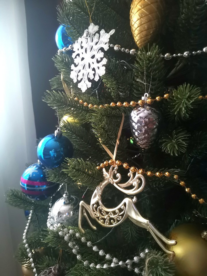 Mary christmas