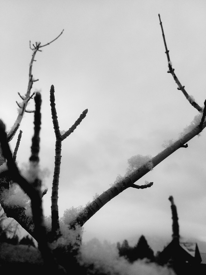 snow