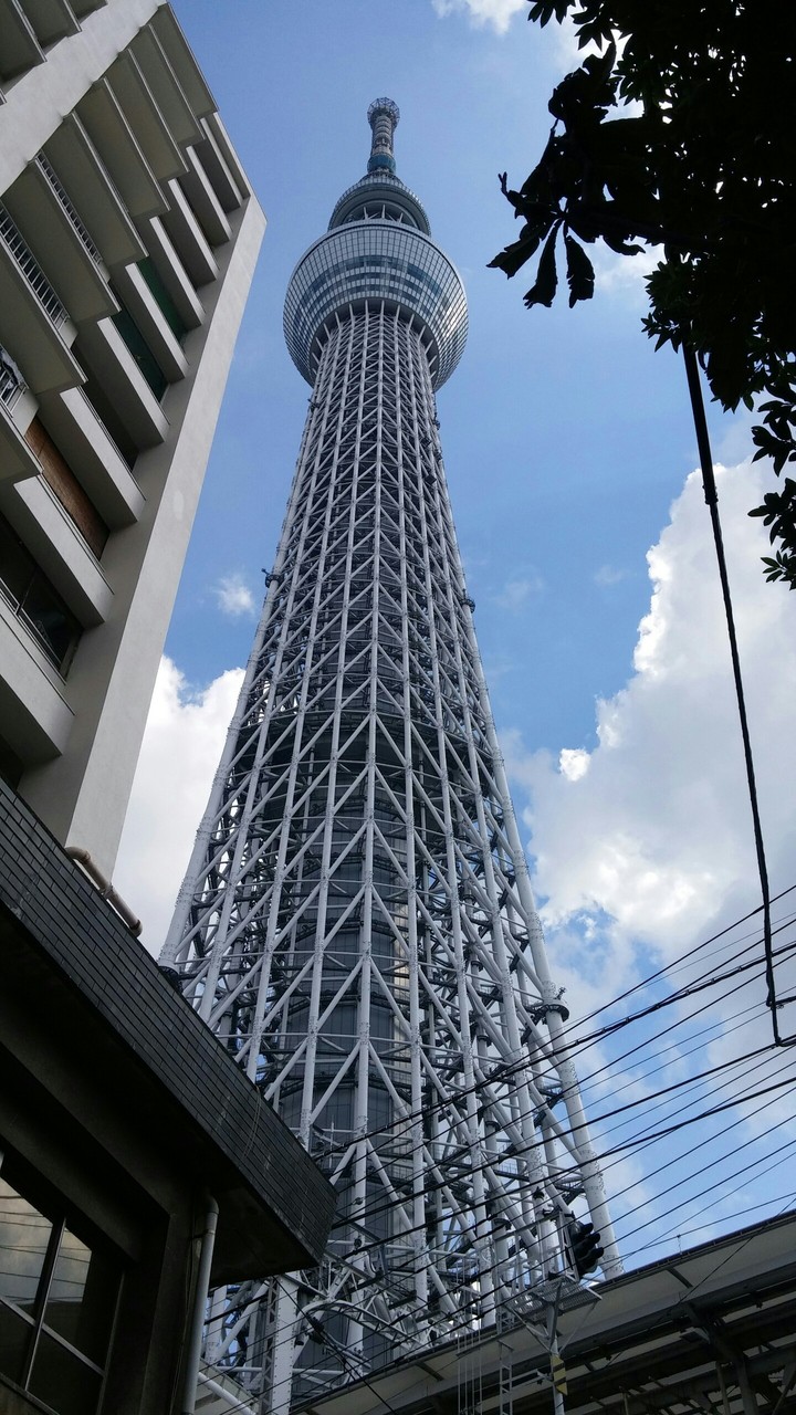 下からの